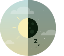 Icône pour Organiser